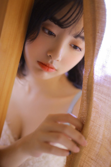 最后的苏丹
